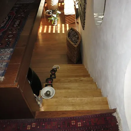 Hip Panorama *