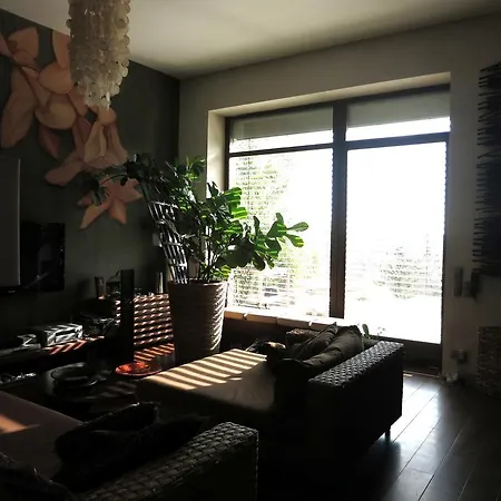 Hip Panorama *